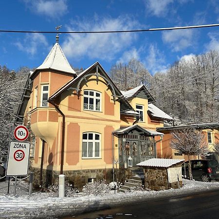 Apartmany Villa Magnolie Lipova Lazne Luaran gambar