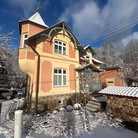 Apartmany Villa Magnolie Lipova Lazne Luaran gambar
