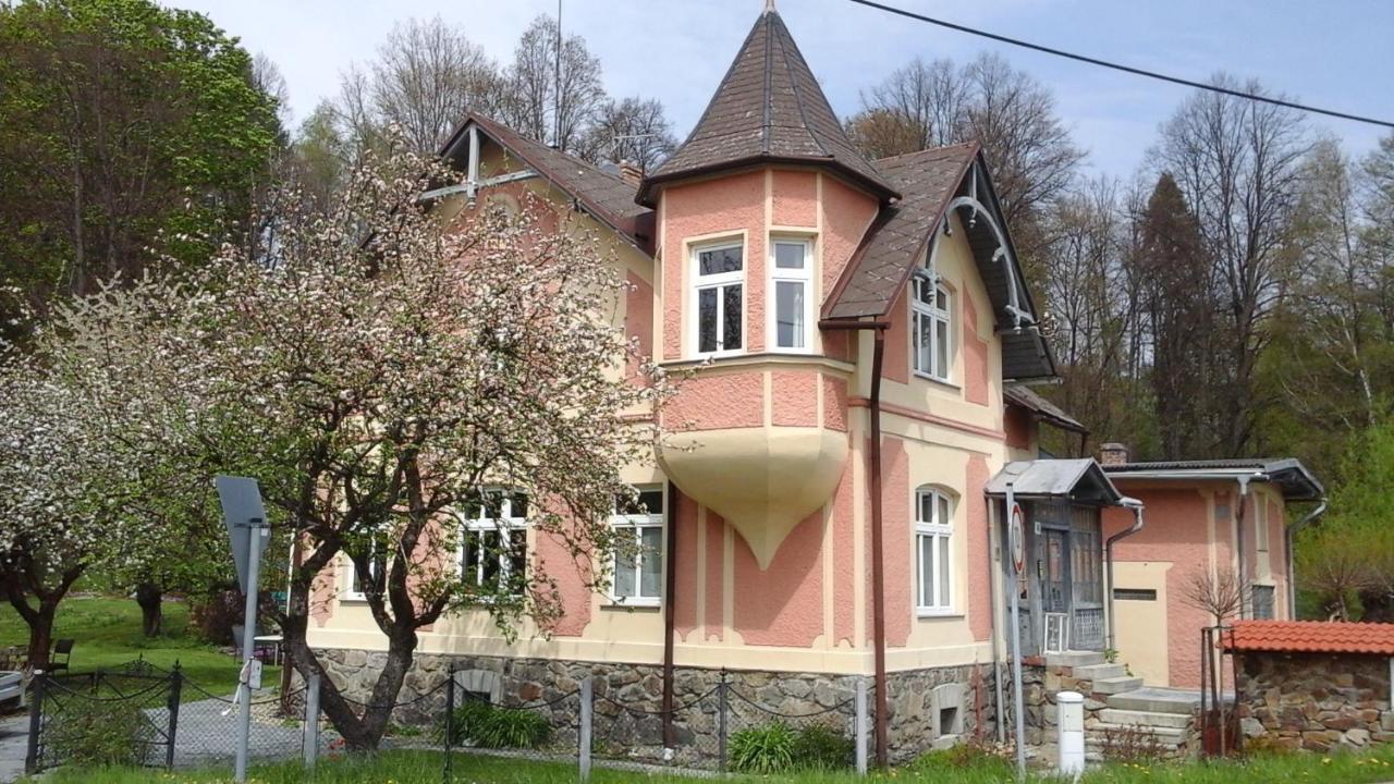 Apartmany Villa Magnolie Lipova Lazne Luaran gambar